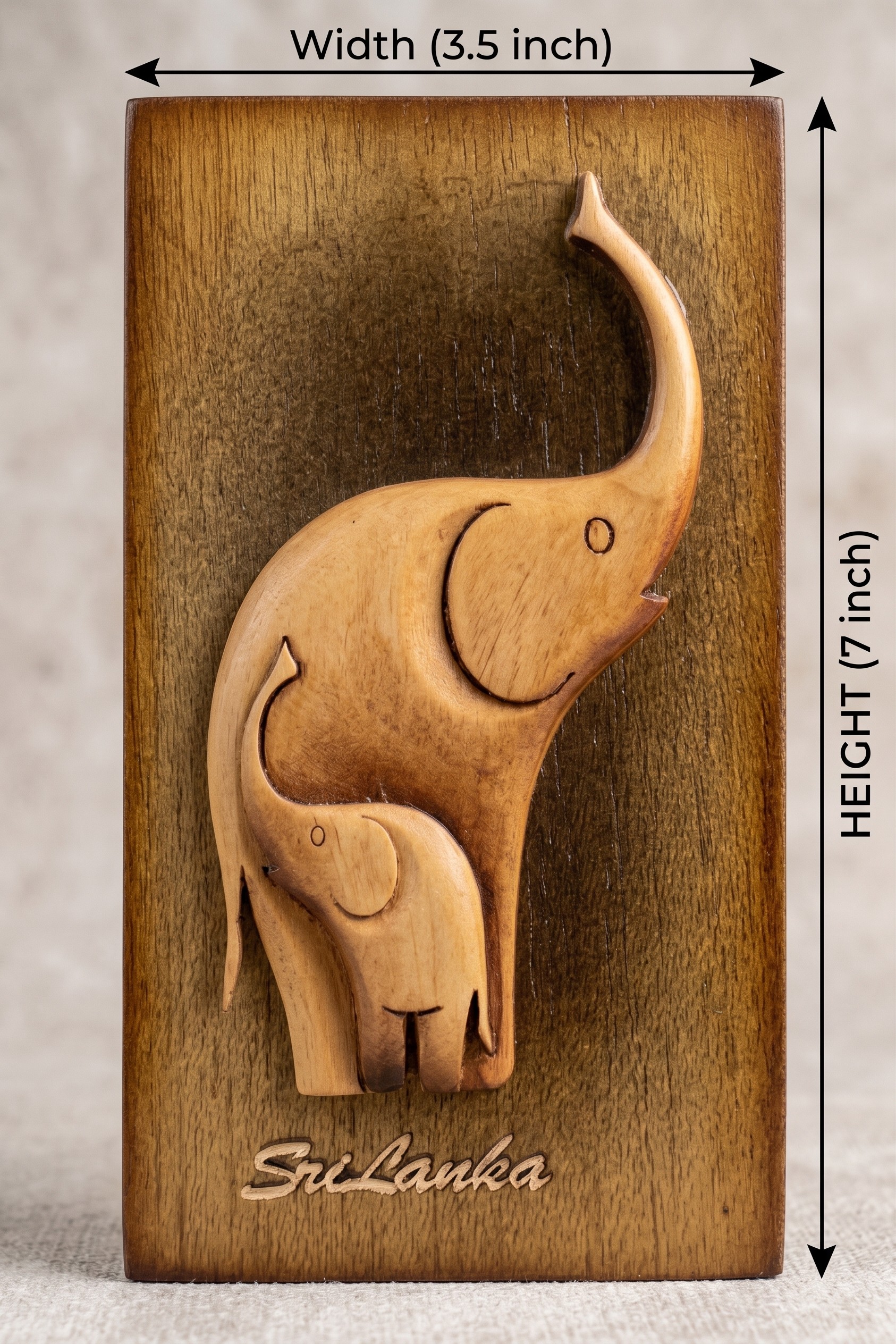 ELEPHANT AND BABY view 2