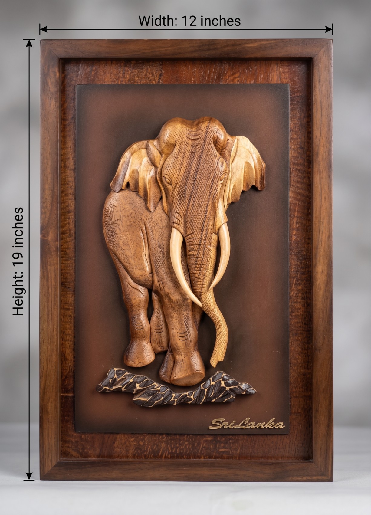ELEPHANT WITH TUSK AND BABY